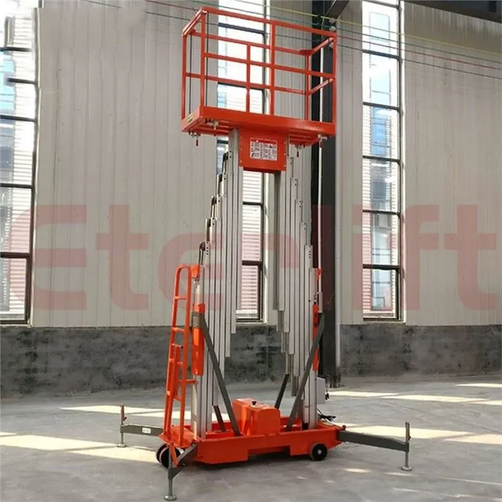 Aerial Work Platform Electric Ladder Lift
